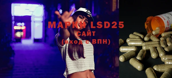мяу мяу мука Баксан