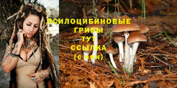 mdpv Балабаново